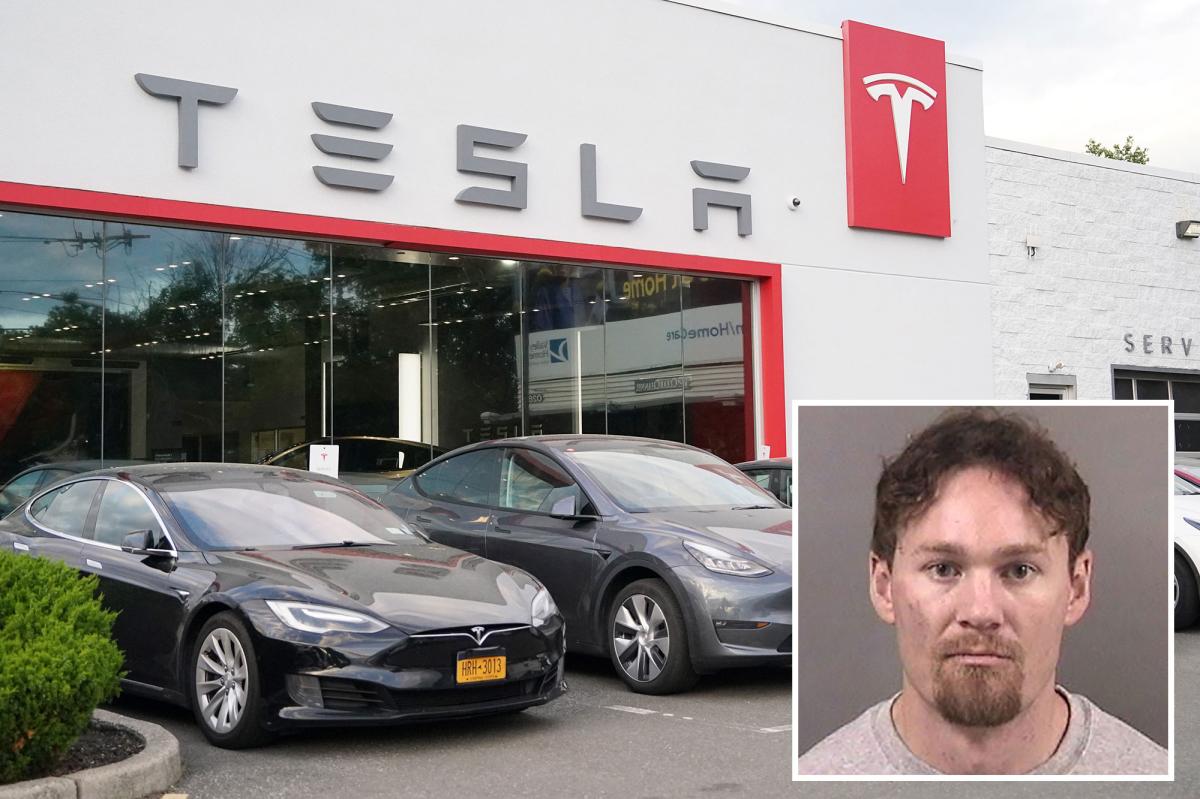 Naked shotgun-wielding Yale alum rampages through Bay Area Tesla shop