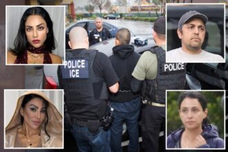 Families of Iran’s elite rounded up by ICE as lavish US lives end