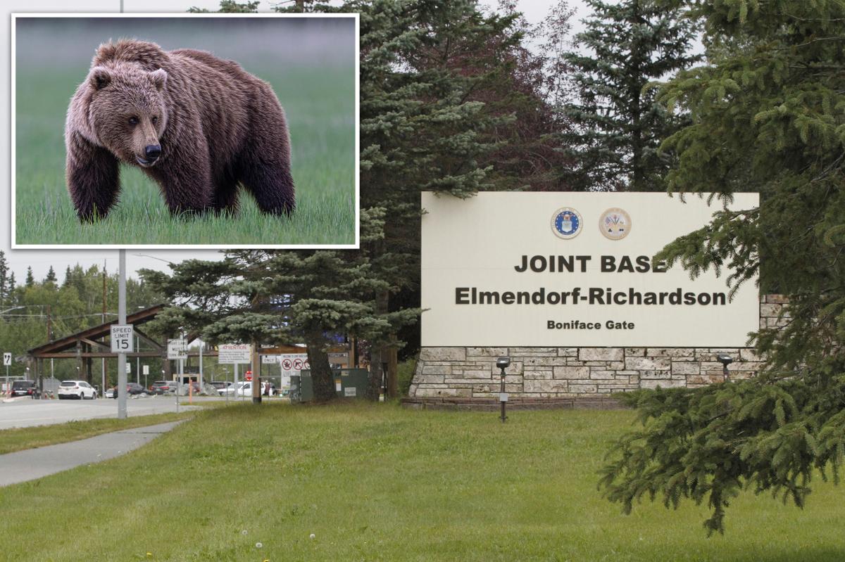 Brown bear attacks soldiers training in Alaska