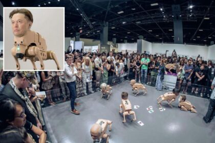 Terrifying mutant dog-bots with Elon Musk and Zuckerberg heads descend on Silicon Valley