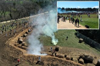Tear gas, pepper spray and arrests as protesters try to storm a Wisconsin beagle lab