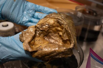 Scientists find mysterious ‘golden orb’ discovered miles underwater in 2023