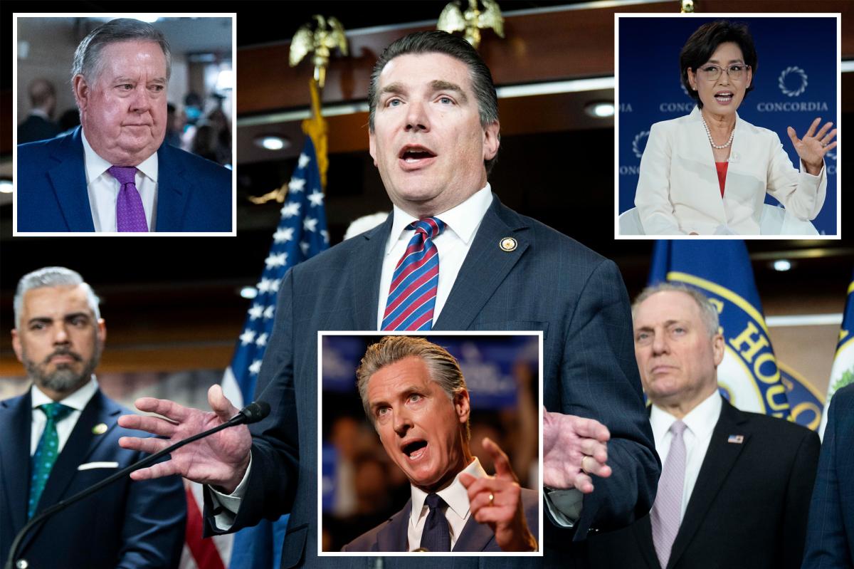 Exclusive | California GOP rips Gavin Newsom, demands answers on hospice fraud scandal