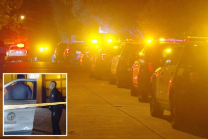 70-year-old woman strangled in horrifying Hollywood Hills home invasion