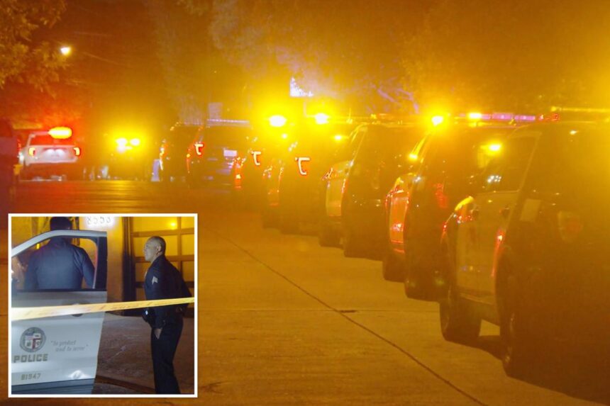 70-year-old woman strangled in horrifying Hollywood Hills home invasion