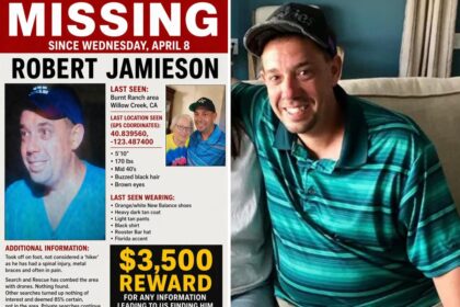 Mystery as Florida father vanishes into California wilderness