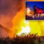 Lightning strike turns 100-foot dinosaur into raging fireball, stunning onlookers