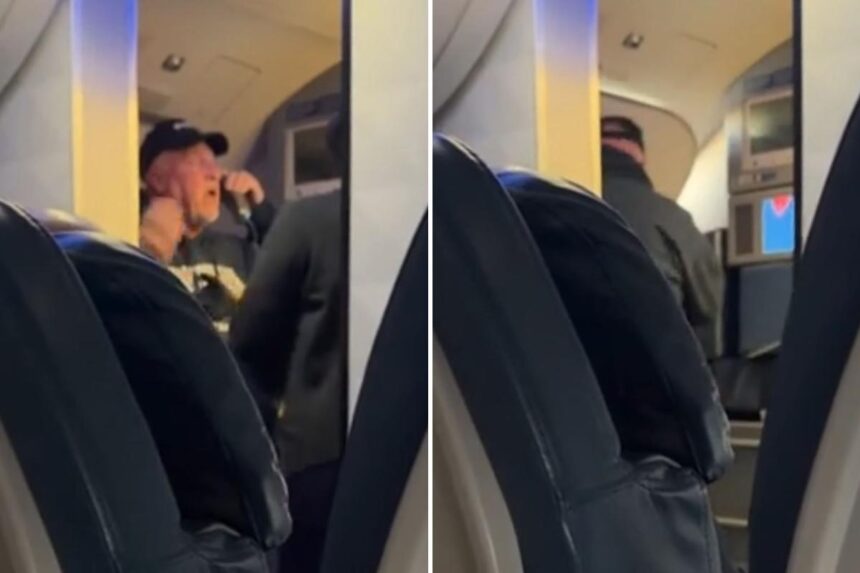 Crazy video shows flyer yanking open airplane door: ‘I want off!’