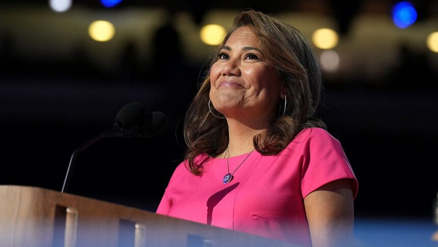 DHS releases new evidence in case of Dem staffer accused of impersonating ICE attorney