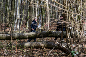 Baby among 3 dead in holiday horror as Easter egg hunt turns deadly