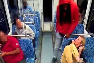 Charlotte light-rail murder suspect ruled incompetent to stand trial as history of crazed claims trails case