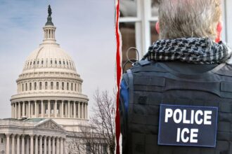 Christmas Vacation and Congress: ‘We’re all in misery’ amid the ongoing DHS shutdown