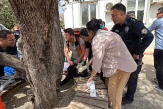 Nine dead, 13 wounded in second Turkish mass shooting in two days