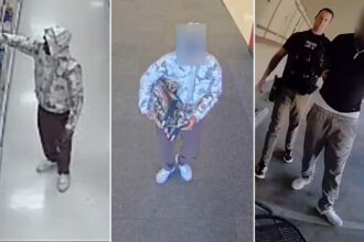 ‘Lego bandit’ accused in bizarre K scheme replacing minifigures with pasta