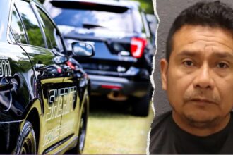 ICE detains illegal immigrant accused of sexually assaulting minor after hospital parking lot birth