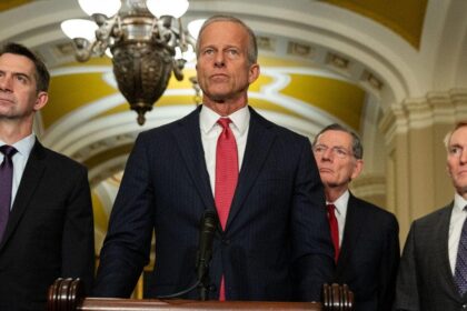 Republicans eye ending government shutdowns forever over fears Dems will do it again