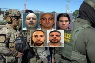 ICE nabs illegal aliens convicted of child sex crimes and meth trafficking in nationwide enforcement sweep
