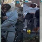 Suspect who fled US arrested in caught-on-camera killing of 15-year-old in NYC park