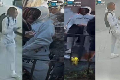 Suspect who fled US arrested in caught-on-camera killing of 15-year-old in NYC park