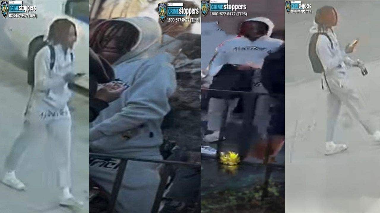 Suspect who fled US arrested in caught-on-camera killing of 15-year-old in NYC park