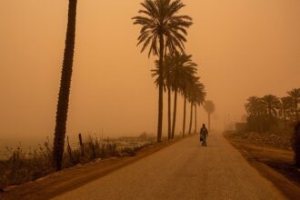 Hormuz crisis spurs B Iraq trade corridor as Gulf routes shift