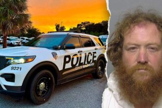 Florida man allegedly shot woman in neck, dragged her back inside before hiding in backyard pool