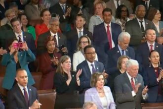 Dems’ ‘No Kings’ rhetoric backfires as critics lambaste ‘confusing’ reaction to actual king