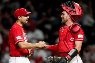 Reds fans go berserk after catcher Tyler Stephenson’s ABS challenge wins them free pizza