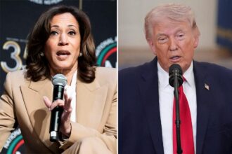 Kamala Harris mocked for worst Trump impression ever: ‘French fry short of a Happy Meal’