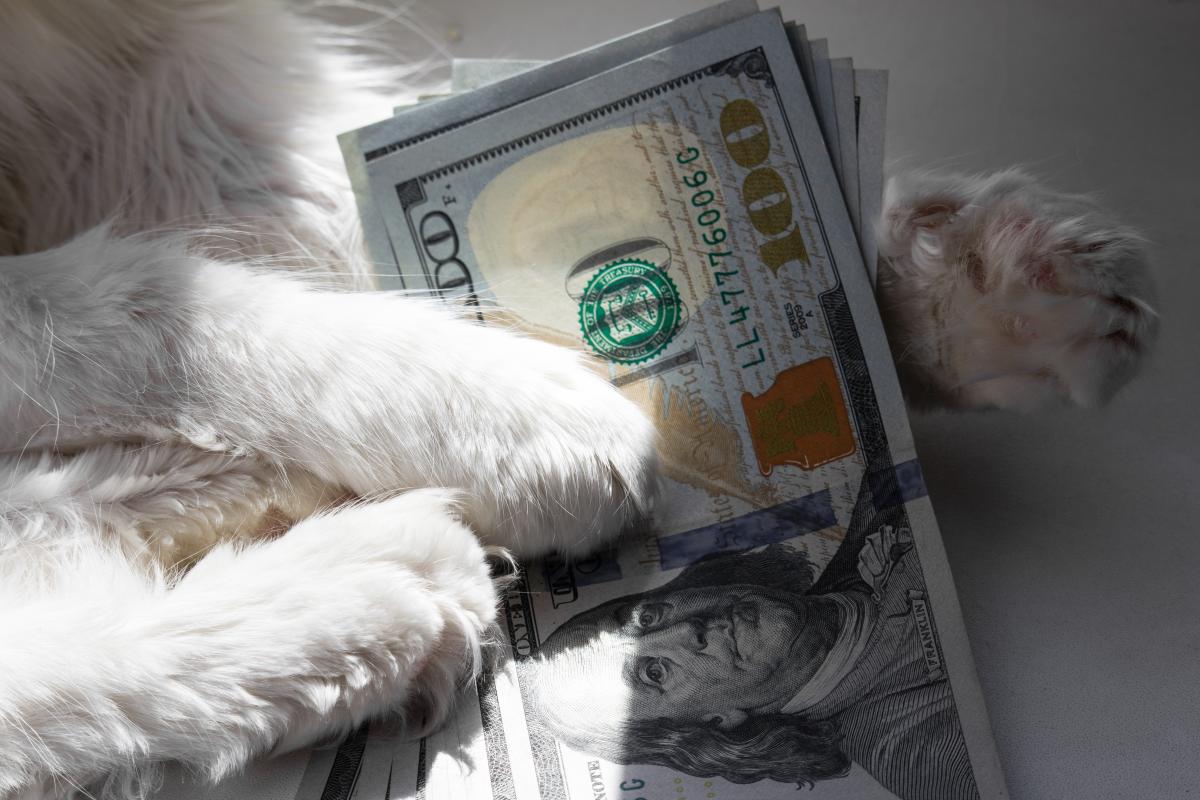 Average pet owner spending tops ,000 a year—learn about the cost breakdown