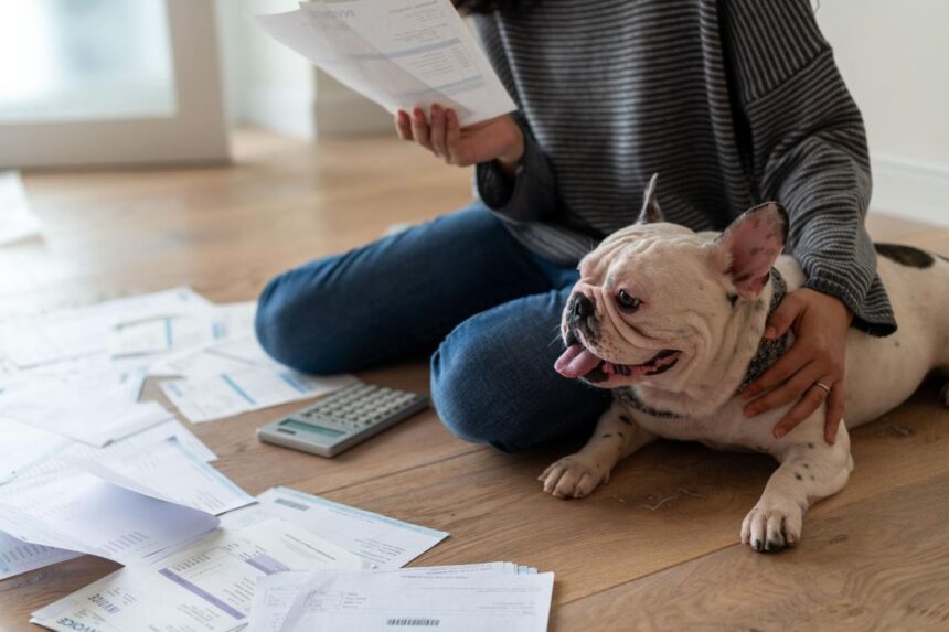 The ‘Family Member Standard’: Why petflation is pushing Americans into debt for their pets