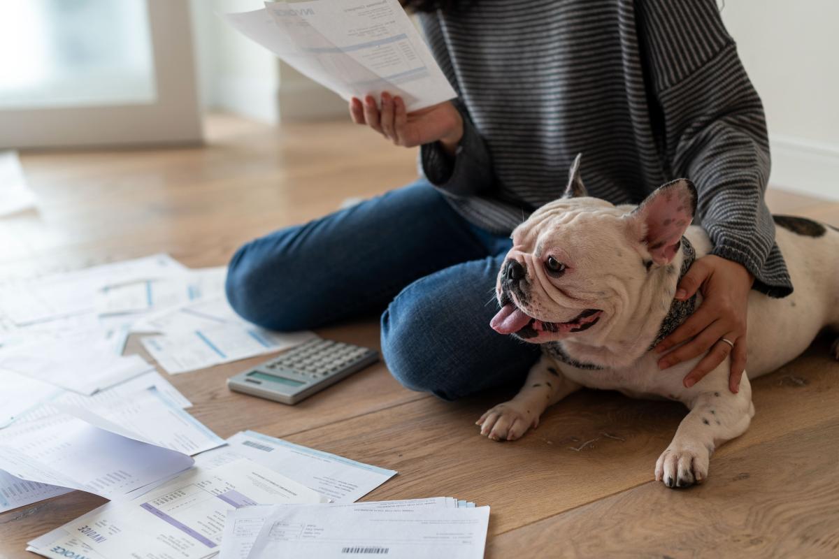 The ‘Family Member Standard’: Why petflation is pushing Americans into debt for their pets
