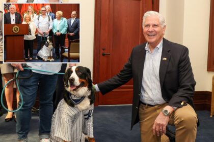 Blakeman signs law to limit dog tethering — and bad pet owners could face jail