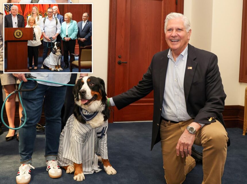 Blakeman signs law to limit dog tethering — and bad pet owners could face jail