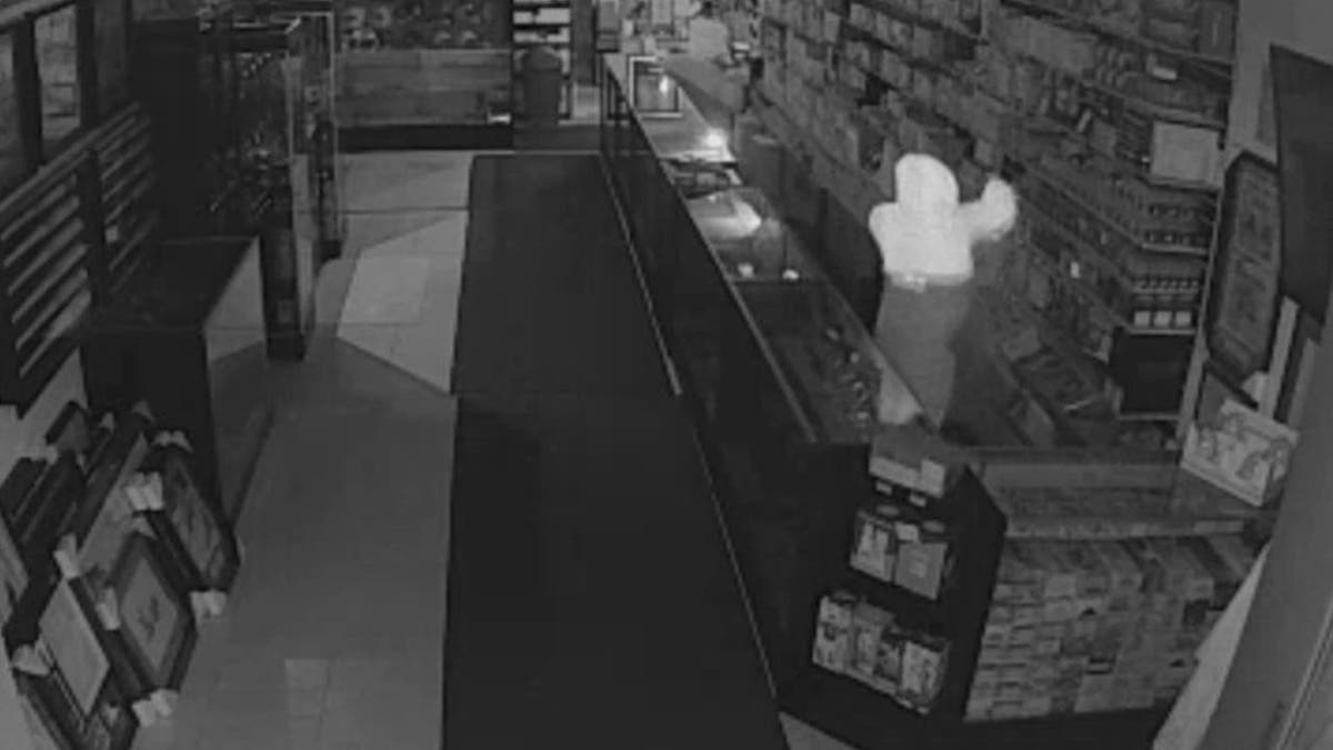 Thief on surveillance camera