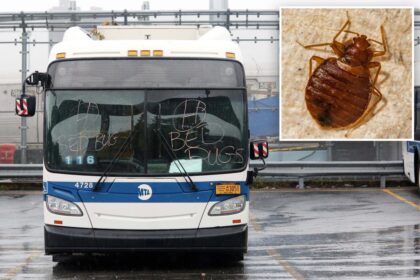 NYS bill would force MTA to tell riders about bed bug infestations