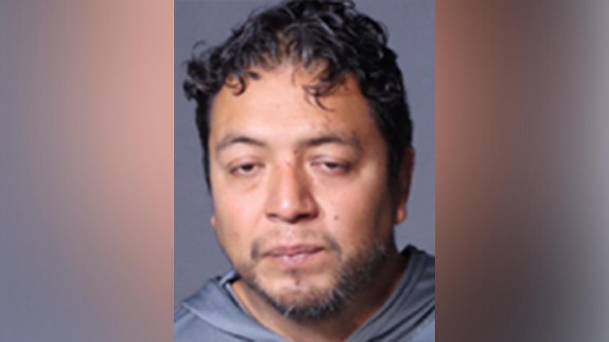 Roman Ceron Amatitla mugshot