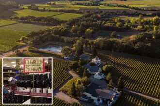 Former Trader Joe’s ‘Two-Buck Chuck’ Napa winery up for auction at half the sale price