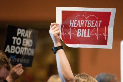 Wyoming court blocks fetal heartbeat abortion law