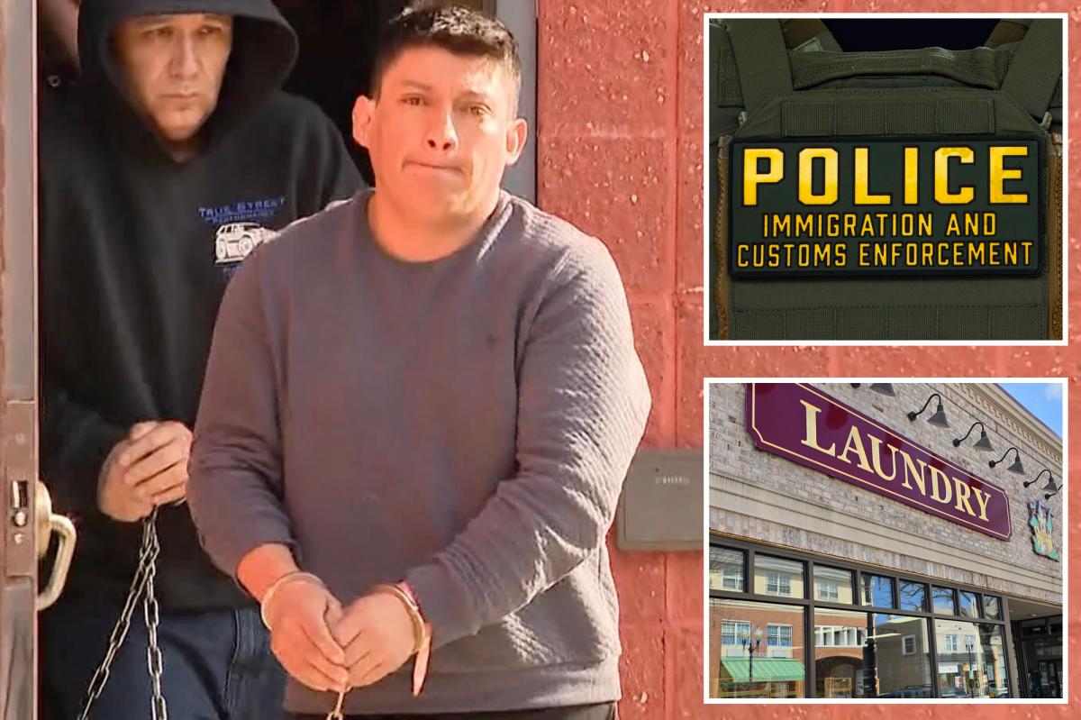 ICE arrests ‘sicko’ illegal migrant accused of kidnapping 4-year-old girl from Long Island laundromat 