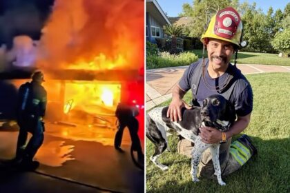 ‘Hero Hound’ sounds alarm, saves family from devastating inferno