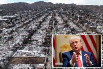 Trump wages war on California insurance giants over wildfire payouts: ‘Horrendous companies’