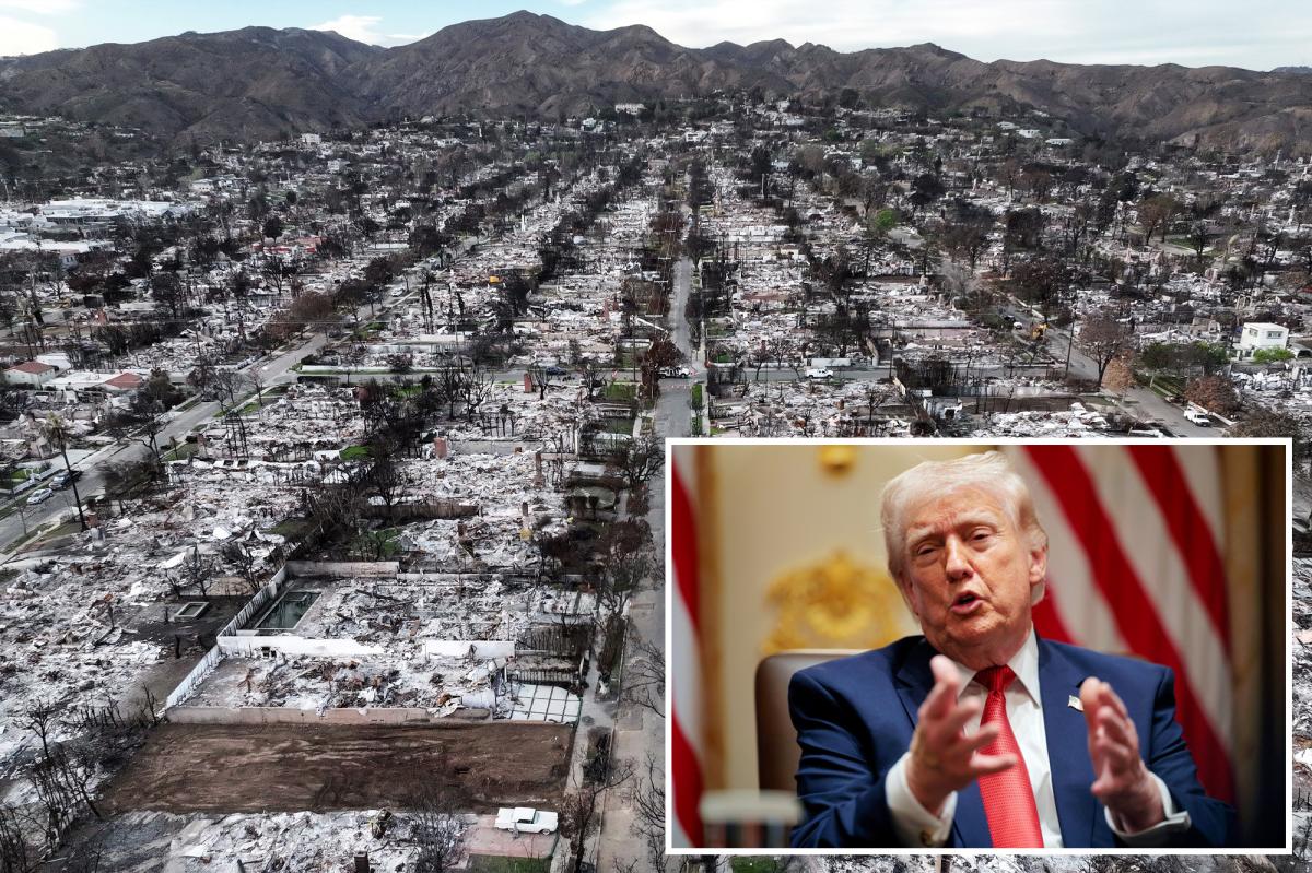 Trump wages war on California insurance giants over wildfire payouts: ‘Horrendous companies’