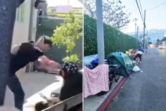 Mass brawl breaks out at Venice Beach homeless camp where Karen Bass boasted about cleanup