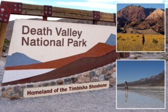 California’s desert giant ranked top destination in the US — another state park cracks top 10