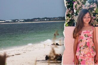 Girl who survived brutal Florida shark attack returns to waters where it happened: ‘She’s fearless’