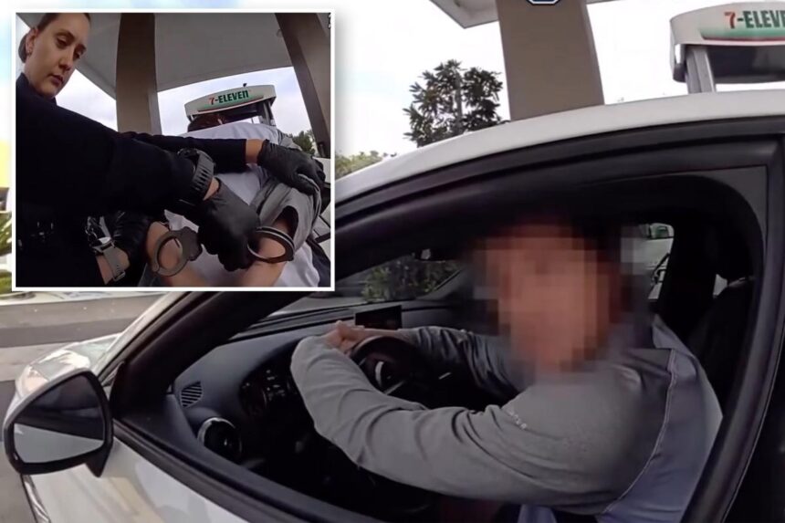 Audi driver in Orange County demands  in free gas: ‘Money as a unit of payment is not real’