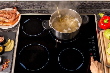 After a Lifetime of Gas, I Switched to an Induction Stove. Here’s Why I’m Never Going Back