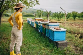 Can AI Find Your Next Obsession? I Tested Its Hobby Suggestions