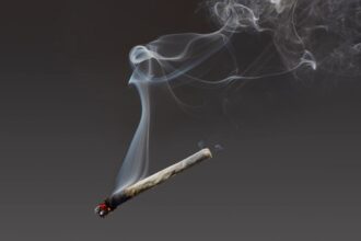 I Tried an Air Purifier Designed to Filter Out Weed and Cigarette Smoke